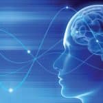 scoperta la cellula che regola le decisioni