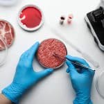 L'italia vieta la carne sintetica o coltivata
