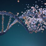 Lo stile di vita e l’ambiente in cui viviamo impattano sulla salute e sulla longevità addirittura più di quanto faccia il nostro dna