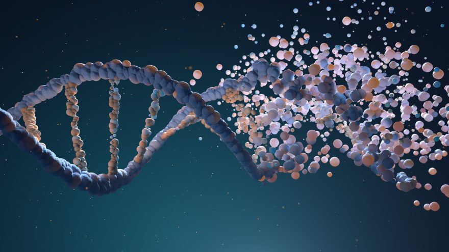 Lo stile di vita e l’ambiente in cui viviamo impattano sulla salute e sulla longevità addirittura più di quanto faccia il nostro dna
