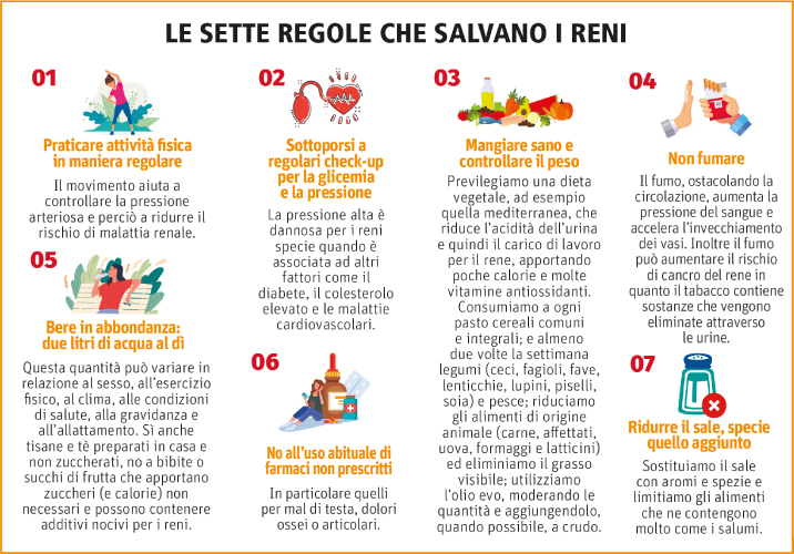infografica salute dei reni
