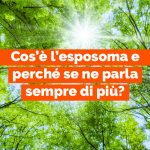 Grafica informativa sull'esposoma cutaneo, il sole e l'inquinamento.