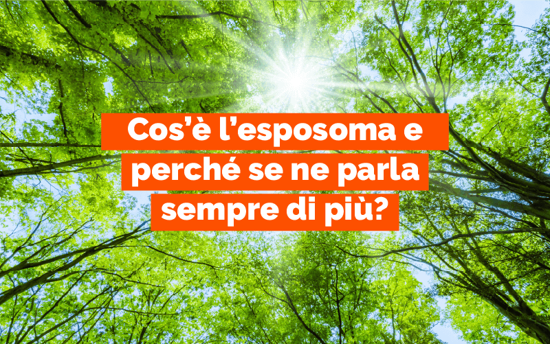 Grafica informativa sull'esposoma cutaneo, il sole e l'inquinamento.